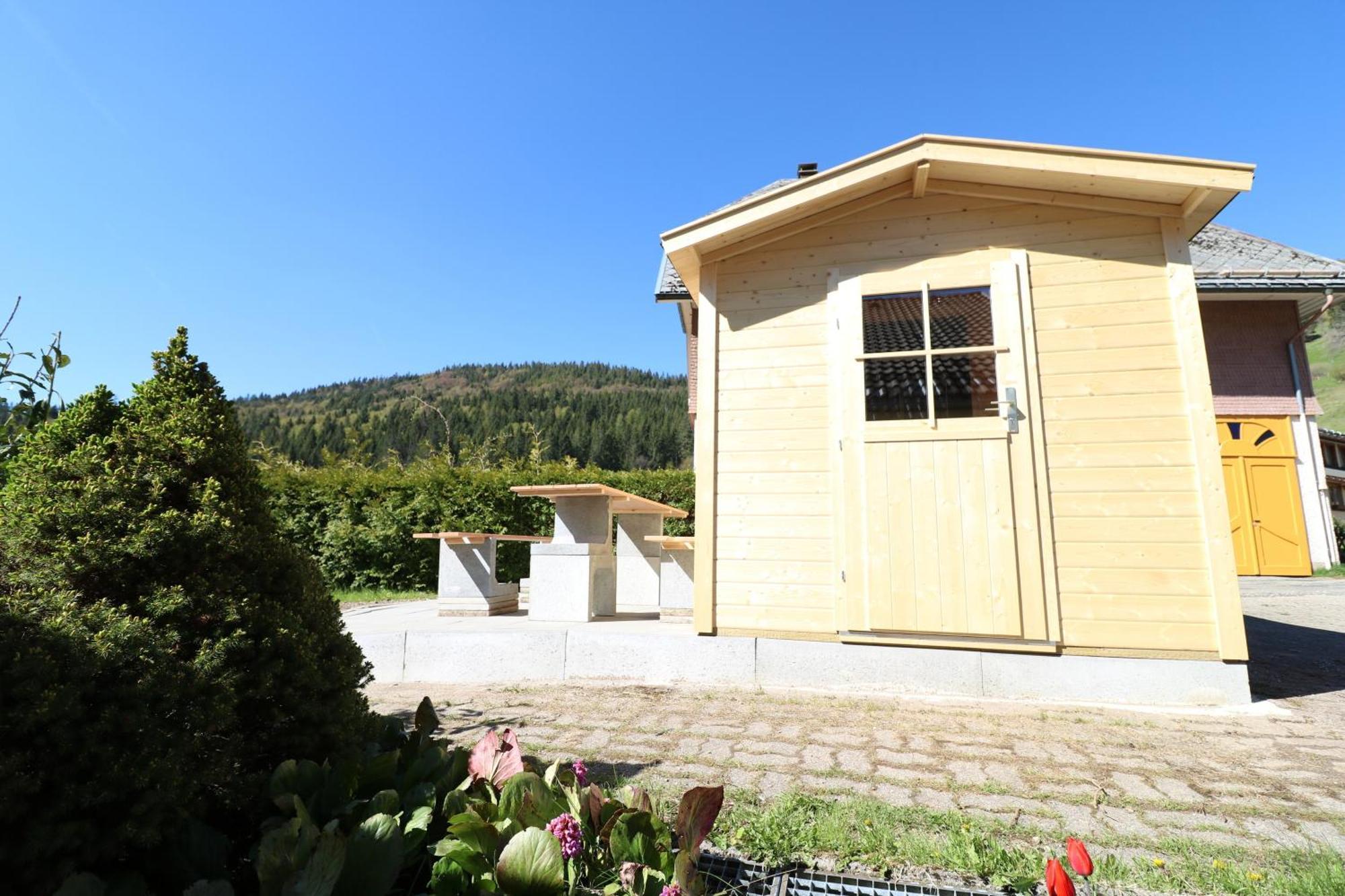 Fewo Schwarzwaldblick, 3 Schlafzimmer Todtnau-Muggenbrunn, Liftverbund Feldberg Exterior foto